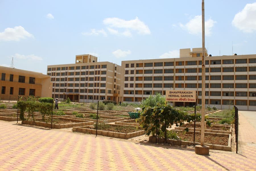 AIIMS Delhi