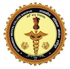 College Logo