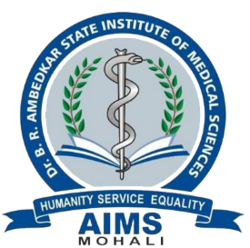 College Logo