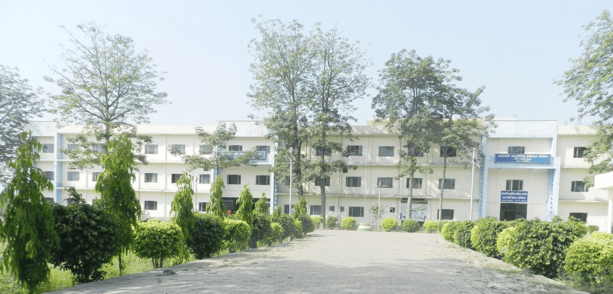 AIIMS Delhi
